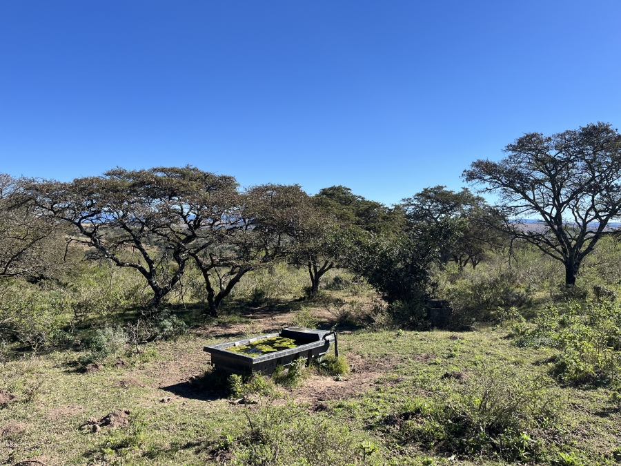 0 Bedroom Property for Sale in Stutterheim Rural Eastern Cape